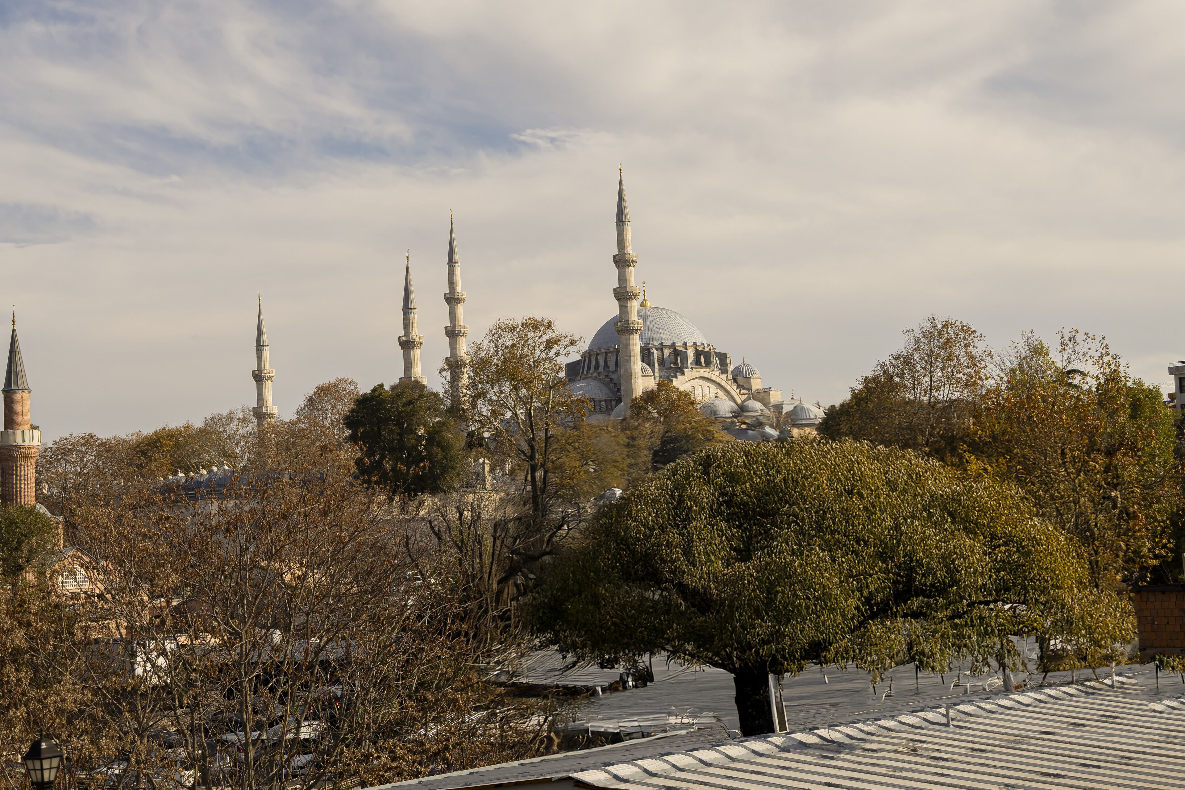 Eine Moschee mit mehreren Minaretten und einer großen Kuppel, umgeben von Bäumen und anderen Gebäuden.