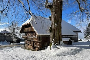 Exterior - old Gneser house 1564 (Fresach)