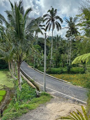 Front of property - Pondok Sulangai Villas by AGATA (Sulangai)