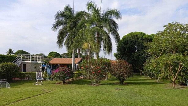 Un jardin bien entretenu avec un palmier, une maison avec un toit rouge et une échelle menant à un balcon.