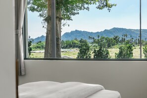 Standard Double Room | View from room