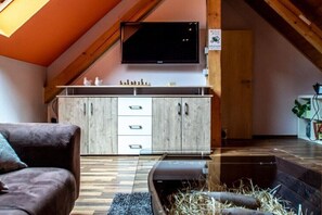 Een smart-tv, een open haard, boeken en een stereo
