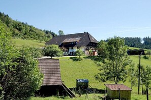 Exterior - Rinkenbachhof Modern retreat (Schenkenzell)