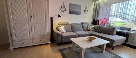 Televisión, reproductor de DVD, mesa de ping pong, estéreo