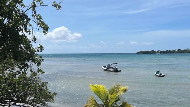 Ein Strand mit ruhigem Wasser, einer kleinen Palme und zwei Booten in der Ferne.
