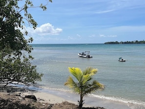 A beach with calm waters, a small palm tree, and two boats in the distance. - An idyllic house in Le Diamant: sun, sea, and relaxation! (Le Diamant)