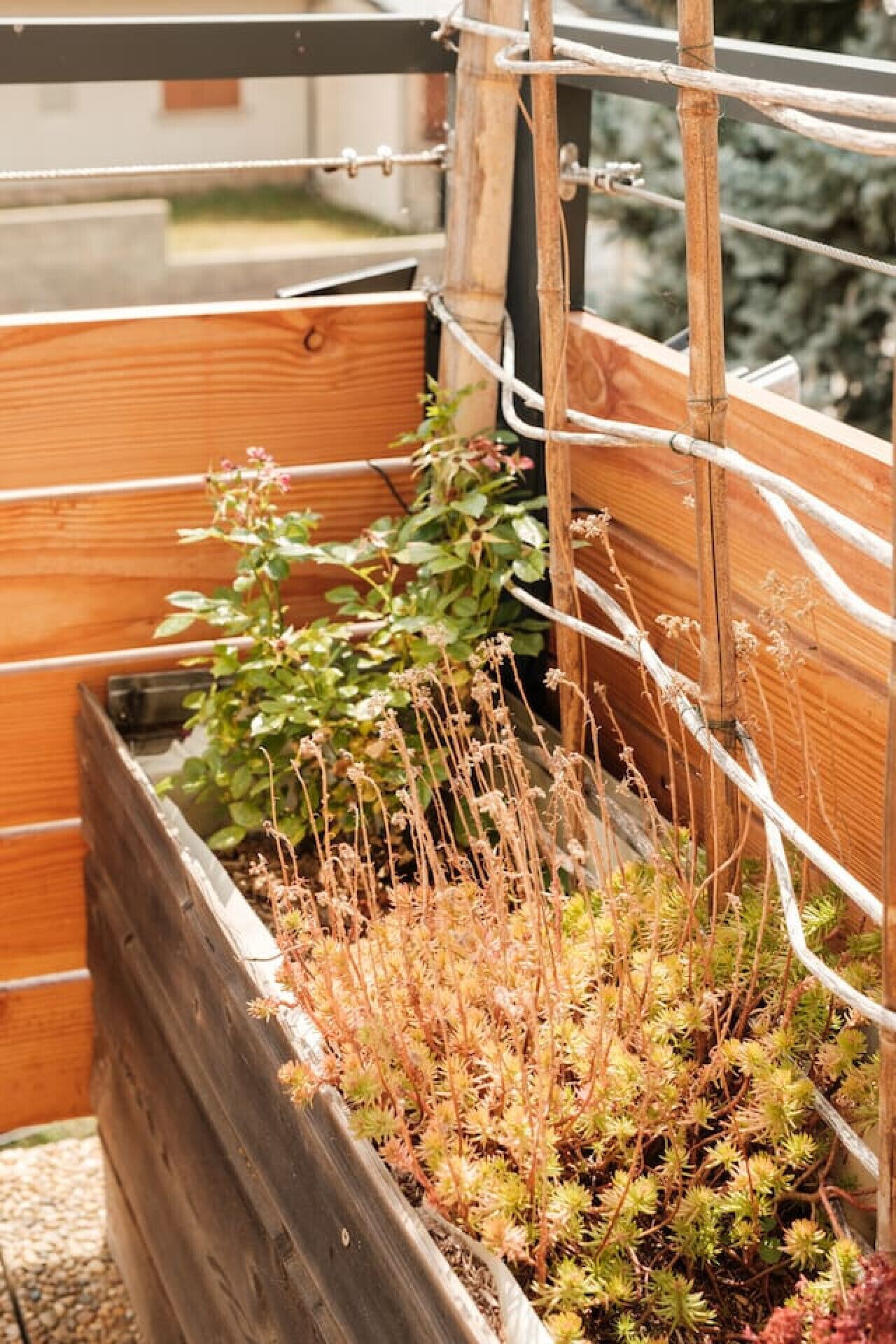 Jardines del alojamiento