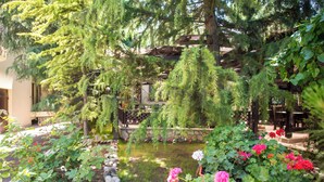 A garden with a pond, potted plants, and a wooden pergola.