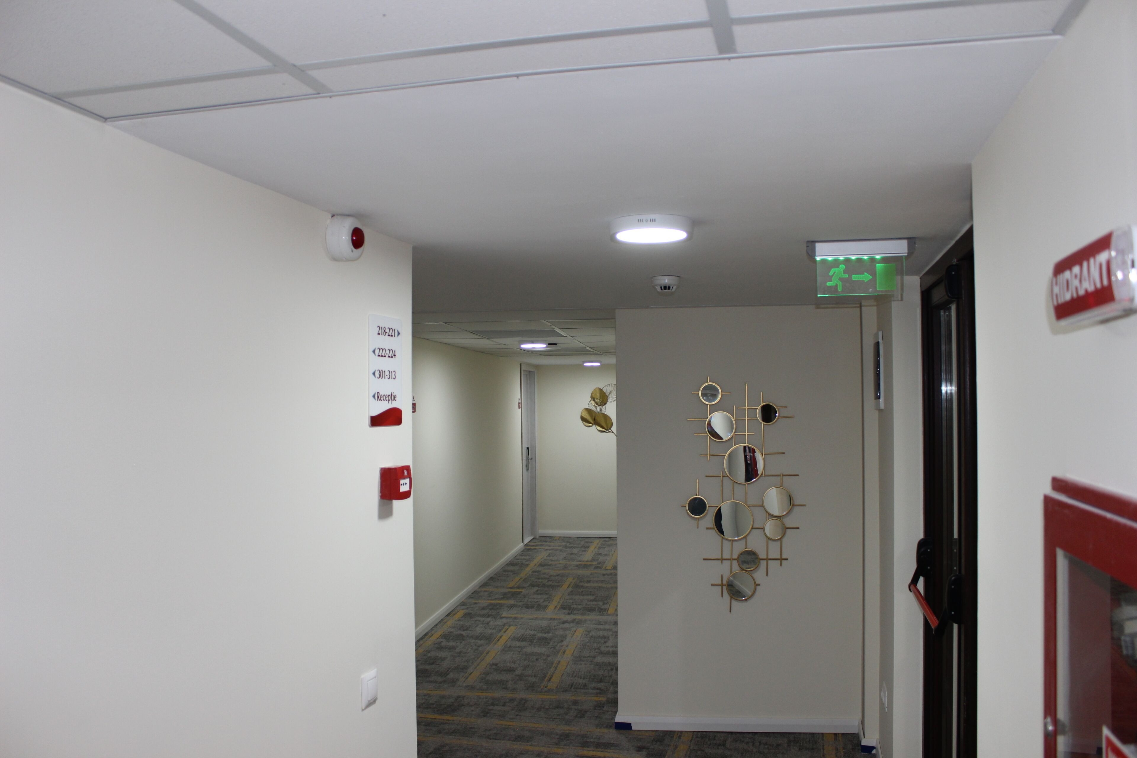 A hallway with a patterned carpet, a wall-mounted mirror display, and a fire alarm.