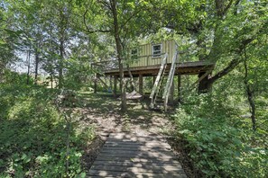 Property grounds - 1BR Cabin on Farm w/ Fire Pit, Pond & Treehouse (Maysville)