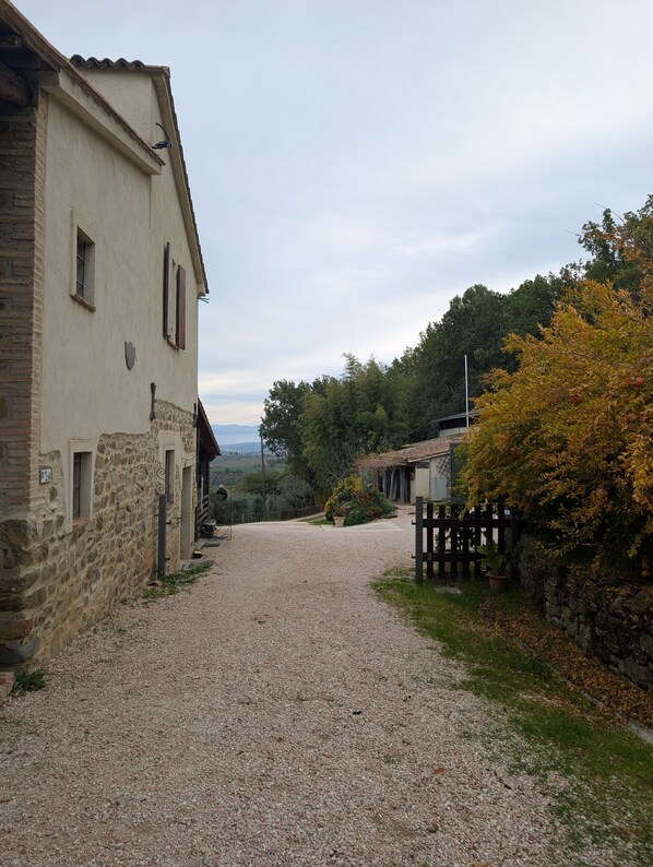 A gravel driveway leading to a stone building with a sloped roof, surrounded by trees and a fence.