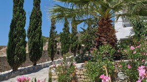 Un jardín ajardinado con cipreses, una palmera y flores rosas, bordeado por muros de piedra.