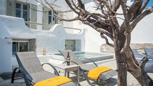 Zona junto a la piscina con sillones de descanso, una mesa con una botella y un árbol.