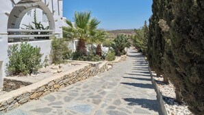 Un sentiero in pietra fiancheggiato da edifici bianchi, palme e cipressi.
