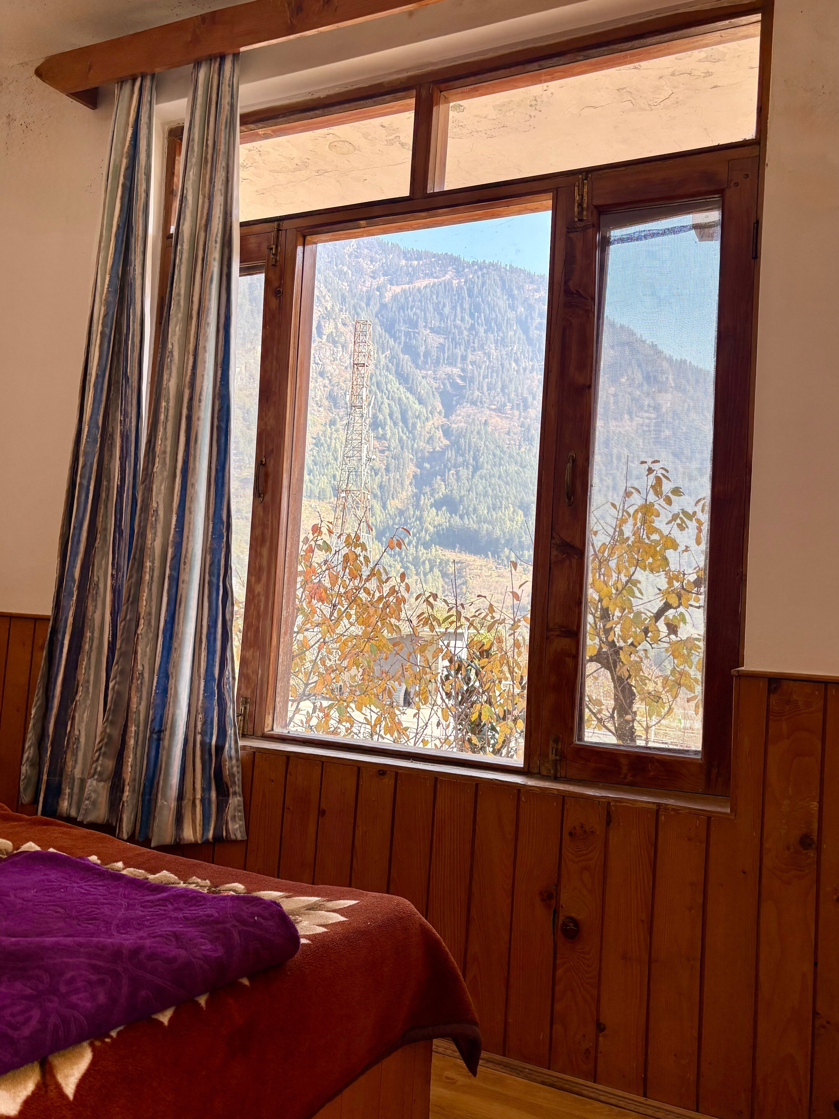 Executive Room, Mountain View | Free WiFi