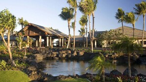 المنطقة المحيطة بالمنشأة