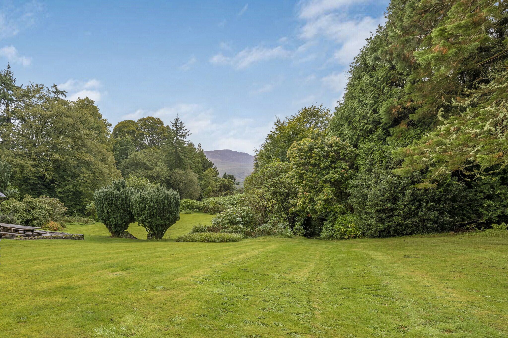 A well-maintained grassy area with a variety of trees and shrubs, a wooden bench, and a distant mountain range under a clear sky.