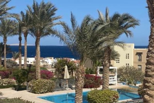 Pool - Timo Pyramids View : Deluxe Twin Room (Giza Governorate)