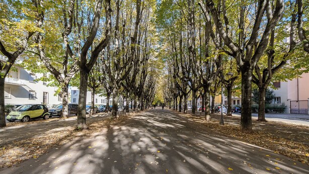 A tree-lined street with parked cars and buildings on either side. - Bright Modern and Cozy Two-room Apartment - Convenient Parking & Fast Wi-Fi (Vercelli)