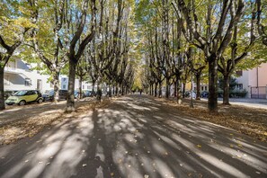 Rua arborizada com carros estacionados e edifícios em ambos os lados.