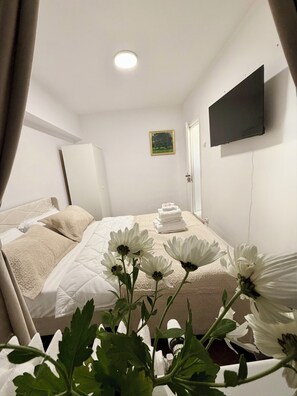 Ein Schlafzimmer mit einem Bett, einem Flachbildfernseher, einem gerahmten Bild und einer Deckenleuchte.