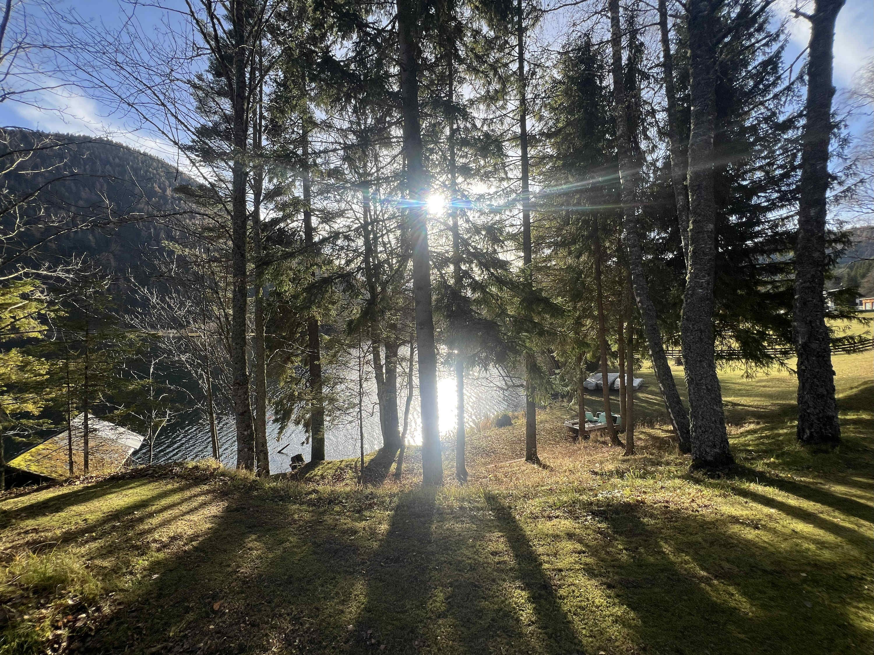 Jardines del alojamiento