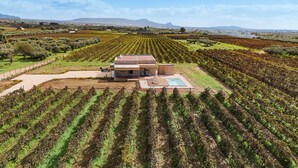 A modern house with a pool, surrounded by vineyard rows, under a clear sky. - Beautiful brand new villa with pool - DiCasaInSicilia (Menfi)