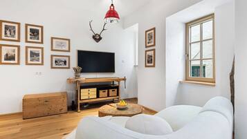 Fernseher, Arbeitsbereiche