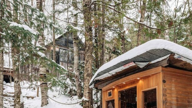 A wooden cabin with a glass door, surrounded by snow-covered trees in a forest.