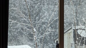 Vista a través de una ventana, con un piano en primer plano, árboles cubiertos de nieve y un edificio al fondo.