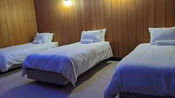 4 bedrooms, iron/ironing board, WiFi, bed sheets