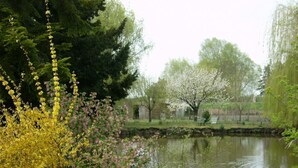 Property grounds - Charming house with shared pool in Contres (Contres)