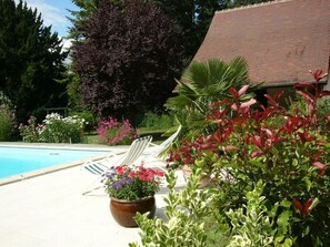 A pool area with lounge chairs and potted plants. - Charming house with shared pool in Contres (Contres)