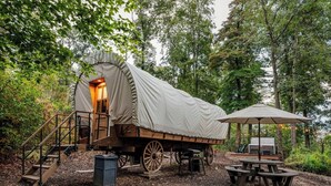 A covered wagon with a wooden staircase leading to a door, a picnic table, and a canopy in a wooded area.