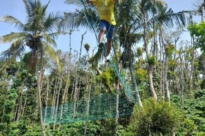 Miscellaneous - Waterfall Whispers & Coffee Aromas – A Cozy Family Retreat (Mysore)