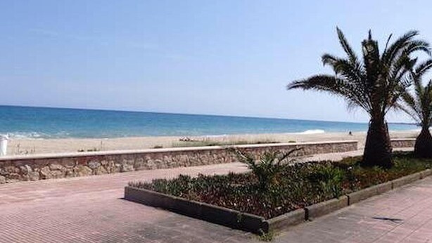 A paved walkway with a stone wall and palm trees, leading to a beach. - Beachfront Apartment with Garden, Pets Allowed (Miami Playa)