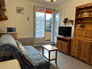 TV - 2-room flat 4 ppl, balcony, garage, near beach (Bormes-les-Mimosas)