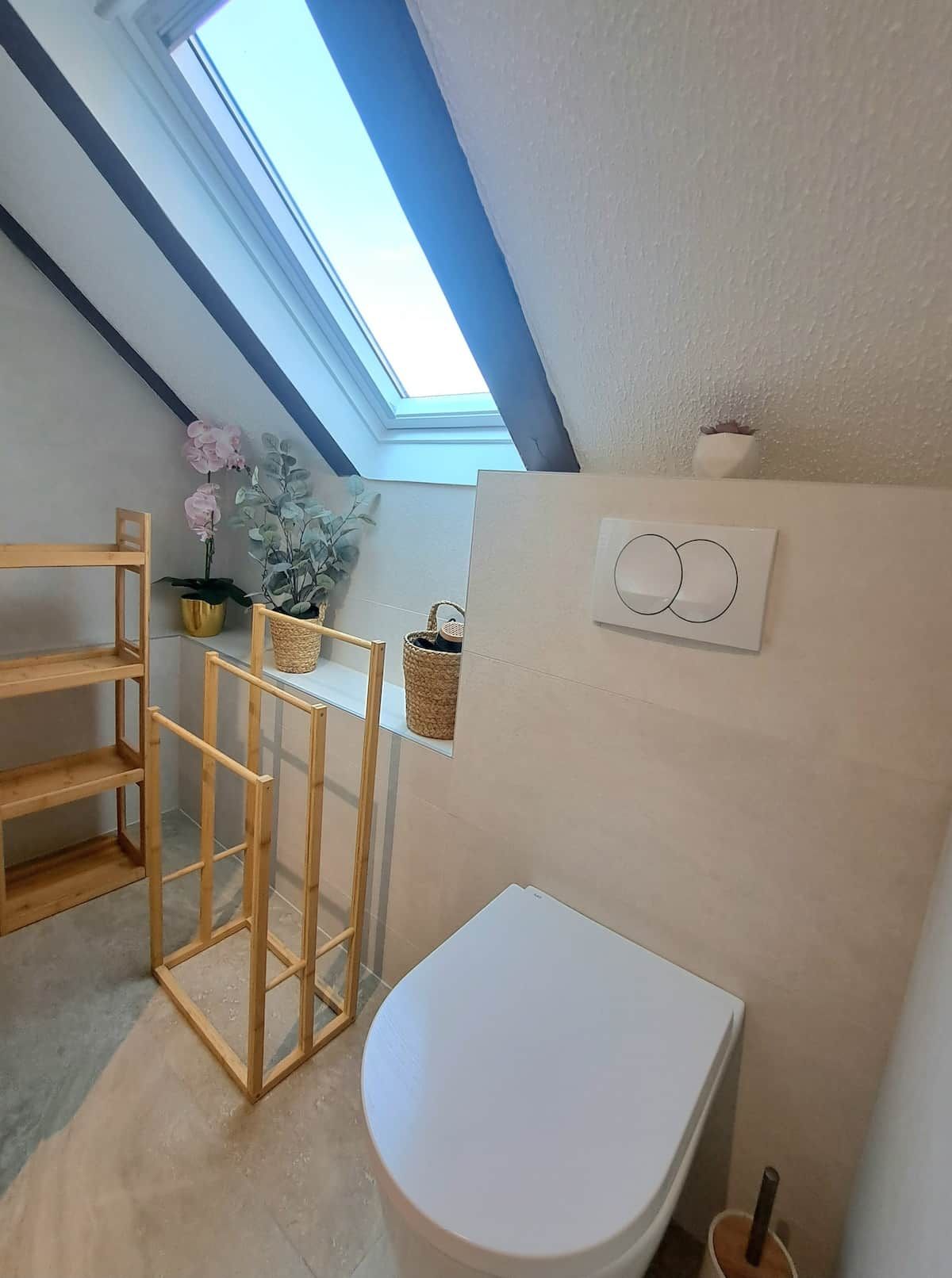 Et lille, moderne badeværelse med ovenlys, et hvidt toilet, en træhylde og en lille potteplante.