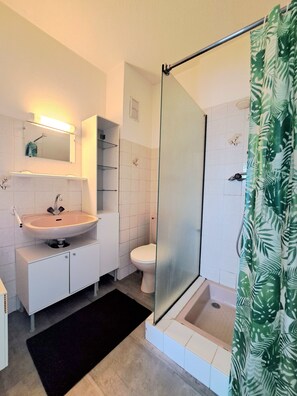 Shower, hair dryer, towels, soap - Chez Agnès - Alsatian charm in the heart of Colmar, with private parking lot (Colmar)