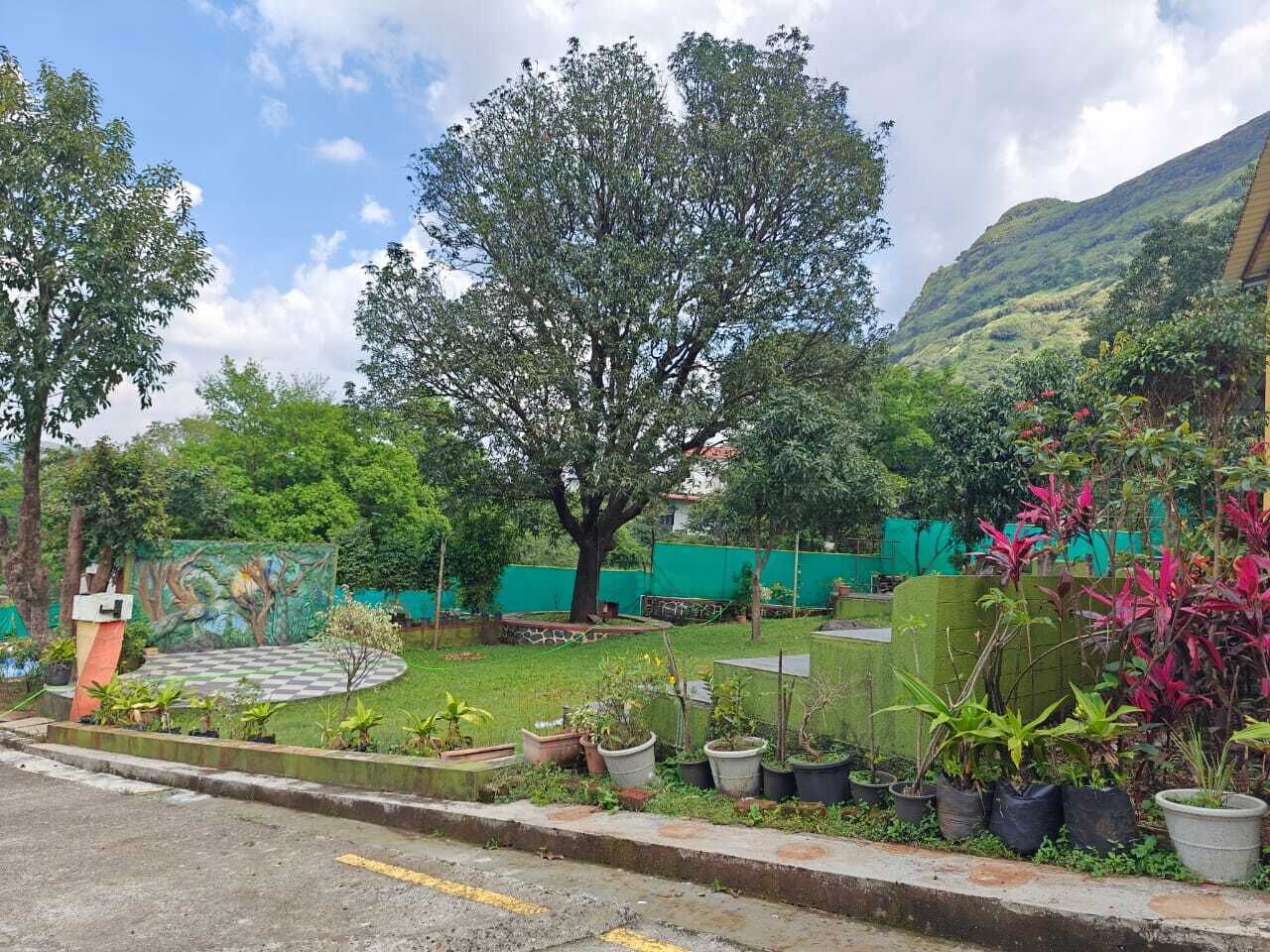 A courtyard with a large tree, potted plants, and a mural on a wall.