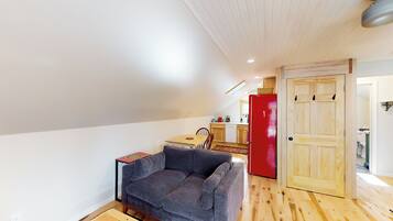 TV, fireplace, DVD player, books