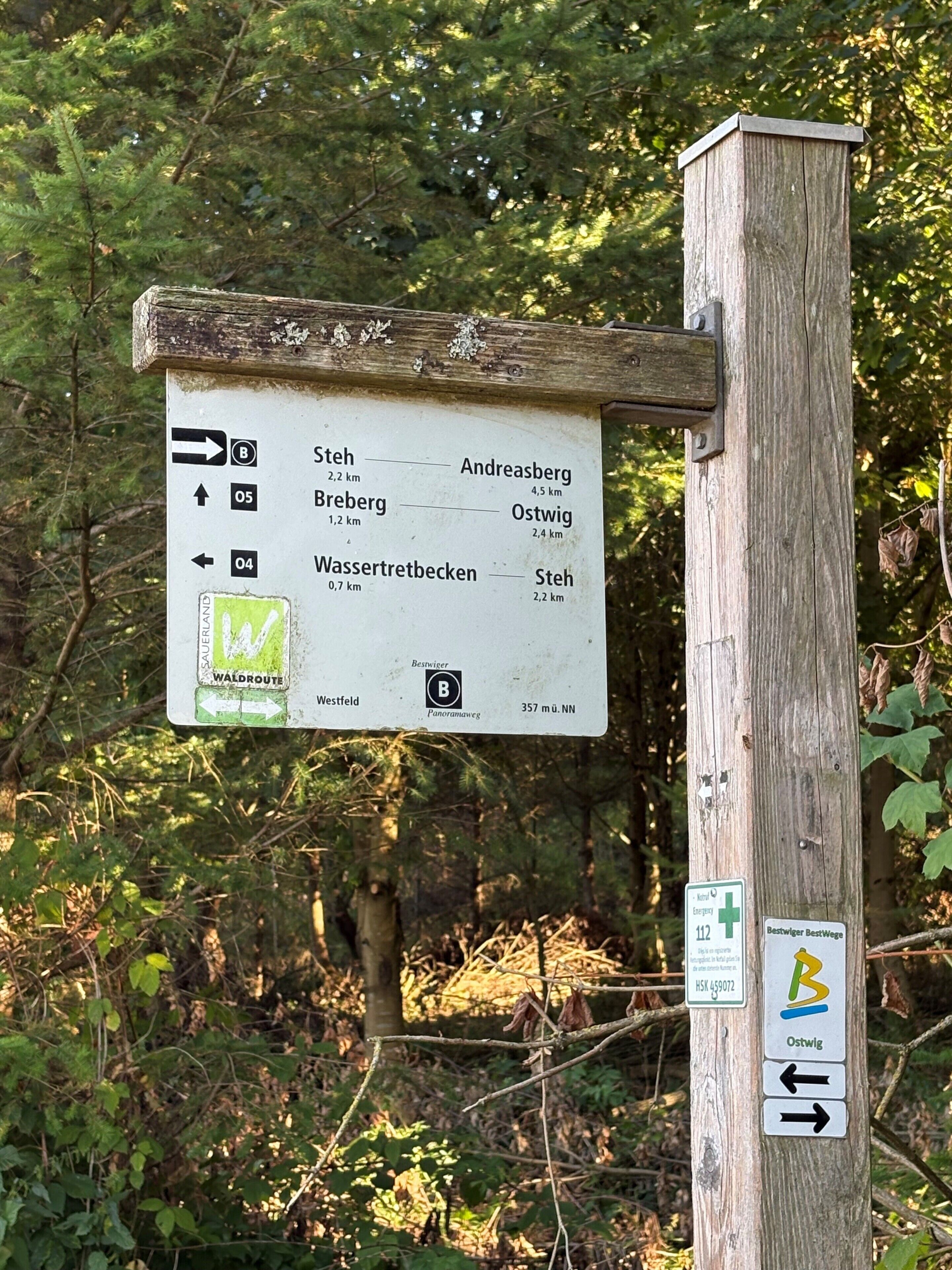 A directional signpost with multiple route options and distances.