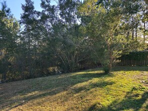 Property grounds - The Cooler in Pooler Getaway (Chatham County)