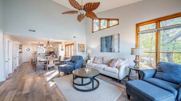 Smart TV, fireplace, books