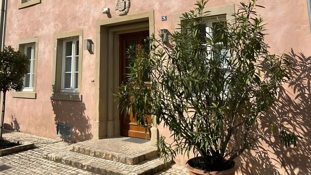 A building with a pink facade, multiple windows, a door, and a potted plant in the foreground.