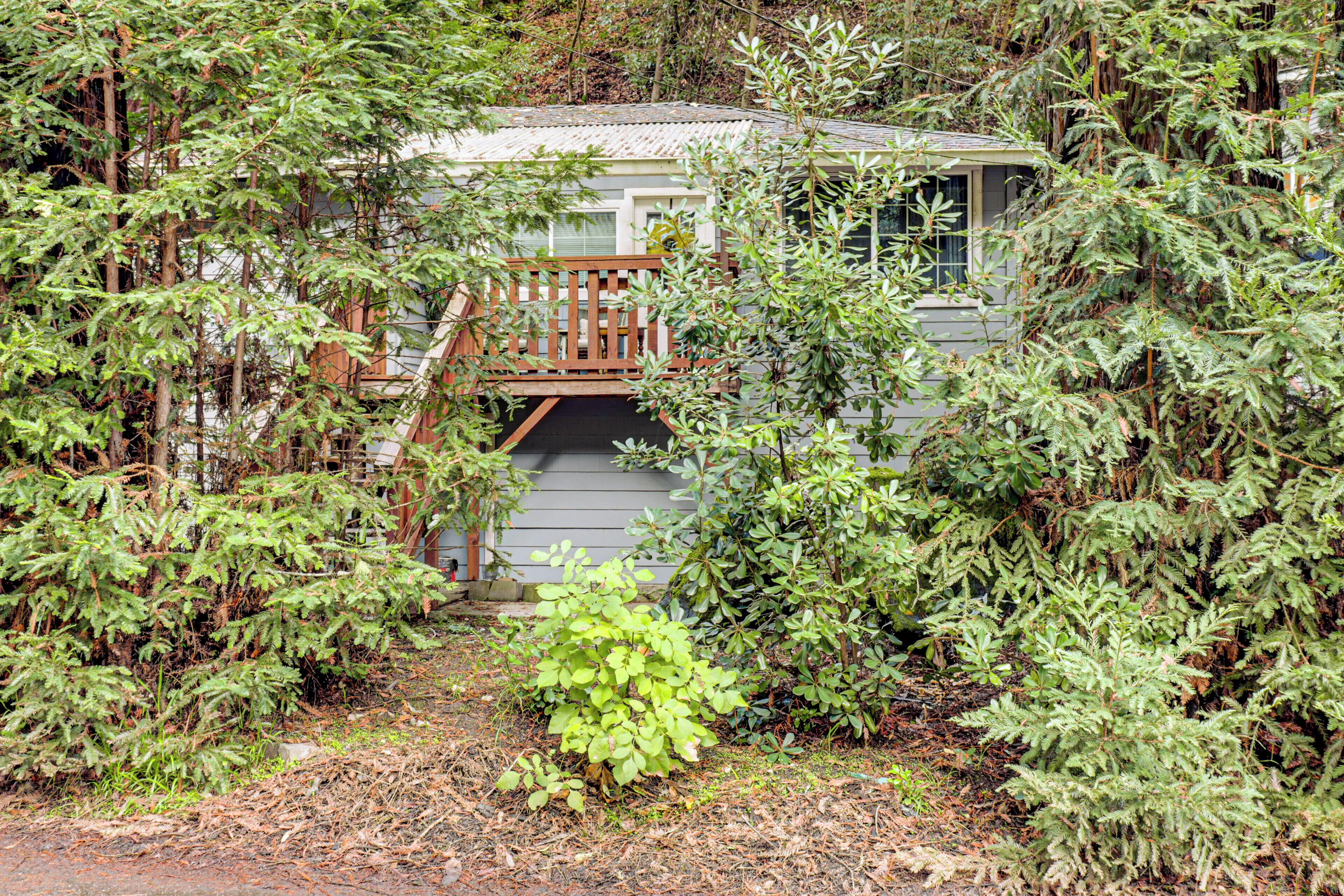 Une cabane entourée d’une végétation luxuriante, dotée d’une terrasse en bois et d’un escalier menant à l’entrée.