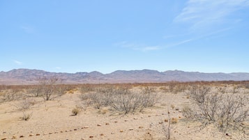 A desert landscape with sparse vegetation and distant mountains under a clear sky.