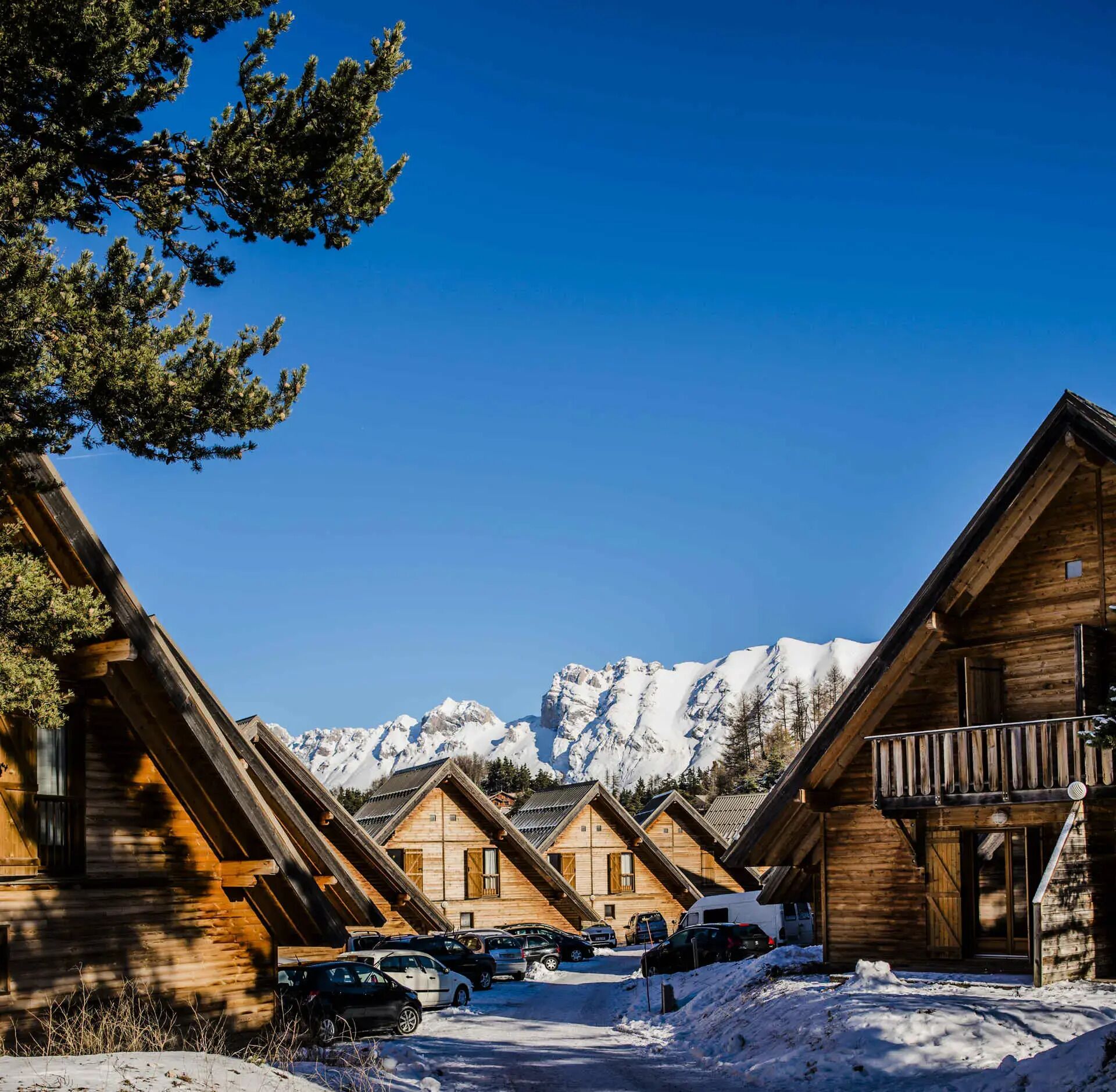 A row of wooden cabins with a snowy mountain backdrop.