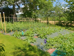 Property grounds - Unusual Room L'Écureuil – Finnish Kota Retreat Near Coligny (Coligny)