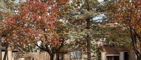 Appartamento, 1 camera da letto | Esterni